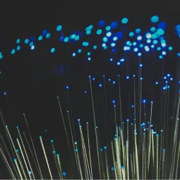 Camphor Sea Nourish Pte. Ltd.